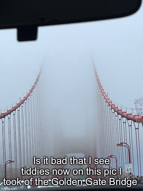 At least it’s cropped | Is it bad that I see tiddies now on this pic I took of the Golden Gate Bridge | made w/ Imgflip meme maker