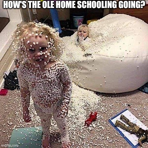 How's The Ole Home Schooling Going? | HOW'S THE OLE HOME SCHOOLING GOING? | image tagged in chrisjoines1 | made w/ Imgflip meme maker