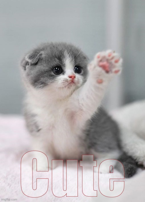 Cute | made w/ Imgflip meme maker