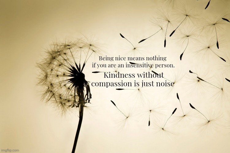 Compassion | Being nice means nothing
 if you are an insensitive person. Kindness without compassion is just noise | image tagged in dandelion | made w/ Imgflip meme maker