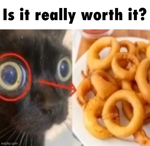 Is it really worth it? | made w/ Imgflip meme maker