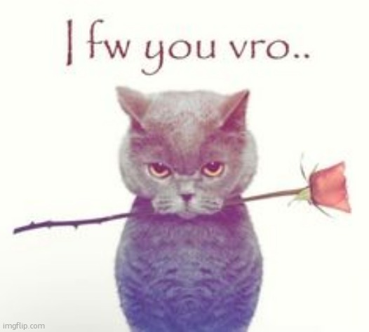 . | image tagged in i fw you vro | made w/ Imgflip meme maker