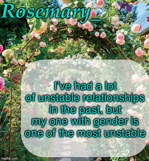 Im pretty confidently nonbinary but then I wear something masc and think Im a guy then wear something fem and think Im a girl | I’ve had a lot of unstable relationships in the past, but my one with gender is one of the most unstable | image tagged in rosemary_ template | made w/ Imgflip meme maker