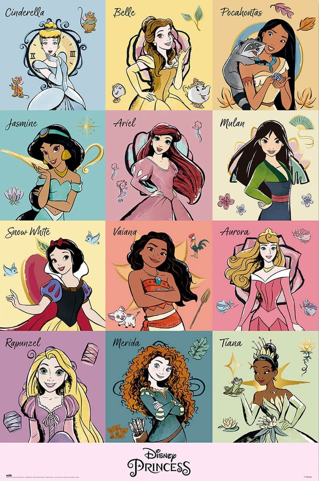 Disney Princess Poster Blank Meme Template