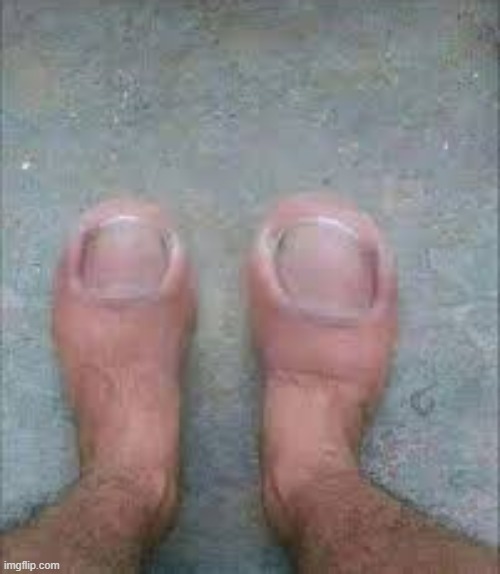 feet | image tagged in feet,picture,funny | made w/ Imgflip meme maker