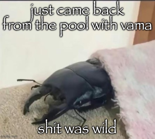 i’m SOOO fucking glad we were the only ones there, might elaborate on this later | just came back from the pool with vama; shit was wild | image tagged in beetle | made w/ Imgflip meme maker
