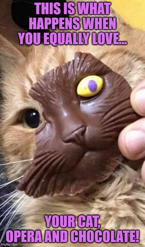Cat-hom of the Chocolate Opera | THIS IS WHAT HAPPENS WHEN YOU EQUALLY LOVE... YOUR CAT, OPERA AND CHOCOLATE! | image tagged in cat,cats,phantom of the opera,chocolate | made w/ Imgflip meme maker