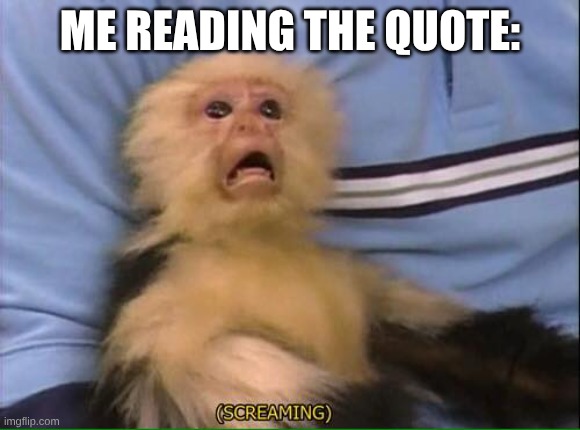 Screaming Monkey | ME READING THE QUOTE: | image tagged in screaming monkey | made w/ Imgflip meme maker