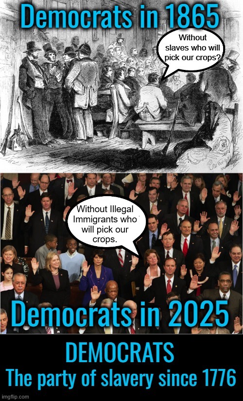 There is one difference between 1865 and now.  "Who will pick our crops" means "Who will vote for us". | image tagged in proslavery democrats,they just changed races and tactics,dems also protect sex slavery | made w/ Imgflip meme maker
