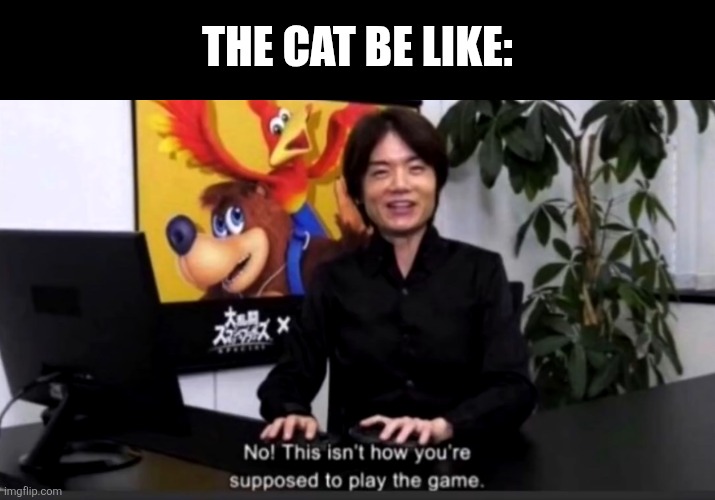No this isn’t how your supposed to play the game | THE CAT BE LIKE: | image tagged in no this isn t how your supposed to play the game | made w/ Imgflip meme maker