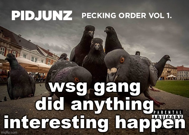 PIDJUNZ: Pecking Order Vol 1. | wsg gang did anything interesting happen | image tagged in pidjunz pecking order vol 1 | made w/ Imgflip meme maker