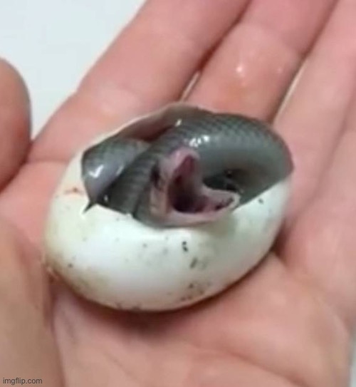 EmoSnake be like “so nostalgic” | made w/ Imgflip meme maker