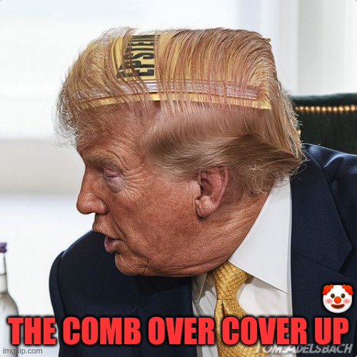 Cover Up | THE COMB OVER COVER UP; 🤡 | image tagged in trump,gop,maga,nazi,fascist,cover up | made w/ Imgflip meme maker