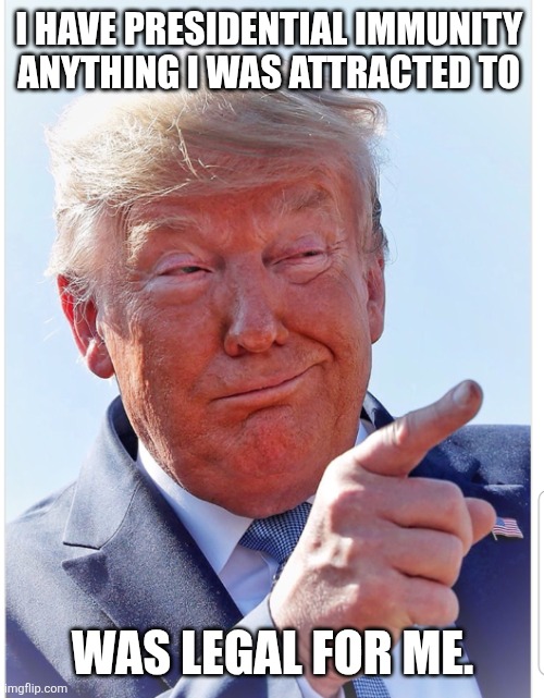 Trump pointing | I HAVE PRESIDENTIAL IMMUNITY 

ANYTHING I WAS ATTRACTED TO WAS LEGAL FOR ME. | image tagged in trump pointing | made w/ Imgflip meme maker