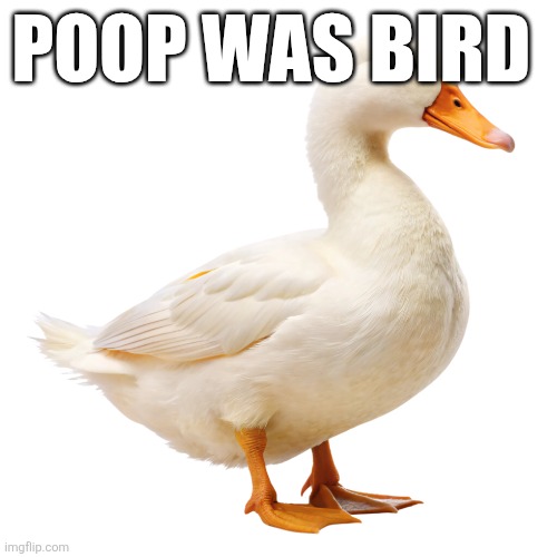 POOP WAS BIRD | made w/ Imgflip meme maker