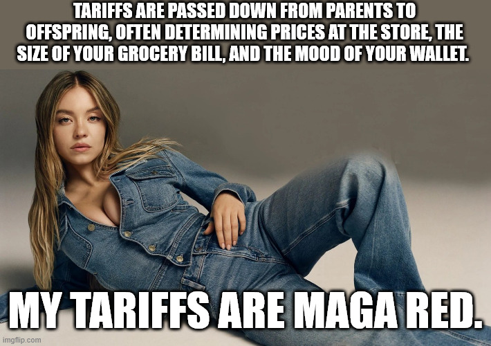 Sydney Sweeney | TARIFFS ARE PASSED DOWN FROM PARENTS TO OFFSPRING, OFTEN DETERMINING PRICES AT THE STORE, THE SIZE OF YOUR GROCERY BILL, AND THE MOOD OF YOUR WALLET. MY TARIFFS ARE MAGA RED. | image tagged in sydney sweeney | made w/ Imgflip meme maker