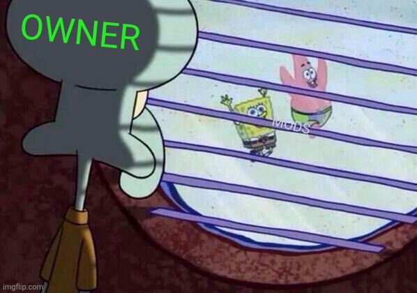 Squidward window | OWNER MODS | image tagged in squidward window | made w/ Imgflip meme maker