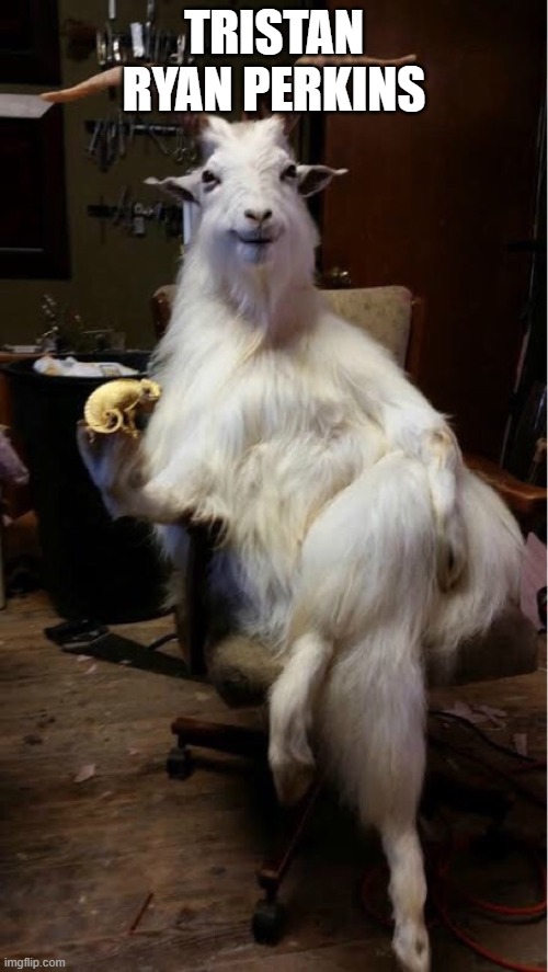 goat | TRISTAN RYAN PERKINS | image tagged in goat | made w/ Imgflip meme maker