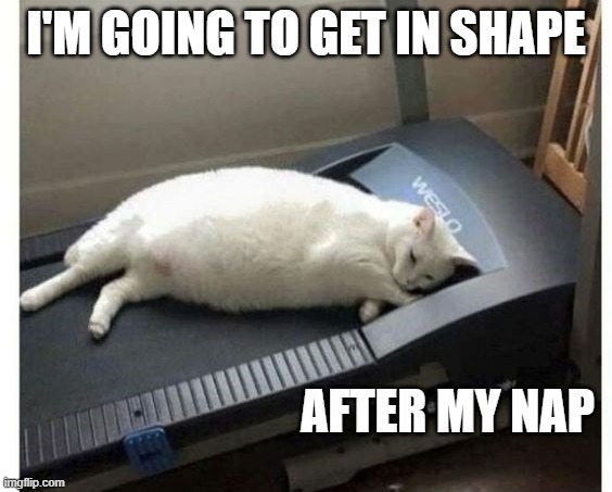 Cat will get in shape. Right after his nap.   - funny - | I'M GOING TO GET IN SHAPE; AFTER MY NAP | image tagged in cats,funny,kittens,humor,exercise,weight loss | made w/ Imgflip meme maker