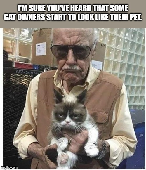 People start to look like their pets. Especially cat owners.  - funny - | I'M SURE YOU'VE HEARD THAT SOME CAT OWNERS START TO LOOK LIKE THEIR PET. | image tagged in cats,funny,kittens,humor,looks,play on words | made w/ Imgflip meme maker