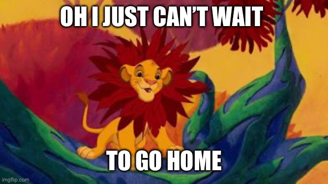 Being at School/Work be like— | OH I JUST CAN’T WAIT; TO GO HOME | image tagged in funny,school,lion king | made w/ Imgflip meme maker