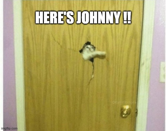 Cat doing impression of Jack Nicholson "Here's Johnny."   - funny - | HERE'S JOHNNY !! | image tagged in cats,funny,kittens,humor,jack nicholson,play on words | made w/ Imgflip meme maker