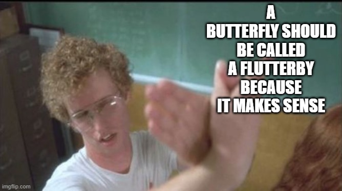 napoleon dynamite butterfly hands | A BUTTERFLY SHOULD BE CALLED A FLUTTERBY BECAUSE IT MAKES SENSE | image tagged in napoleon dynamite butterfly hands | made w/ Imgflip meme maker