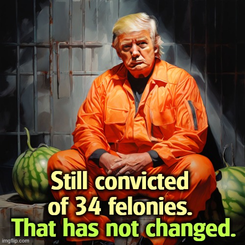 Still a convicted crook. | Still convicted of 34 felonies. That has not changed. | image tagged in donald trump still convicted of 34 felonies maybe a pedophile,trump,convict,felonies,jail,prison | made w/ Imgflip meme maker