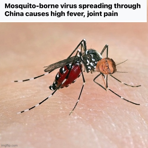 Another mutant | image tagged in mosquito,politics lol,memes | made w/ Imgflip meme maker