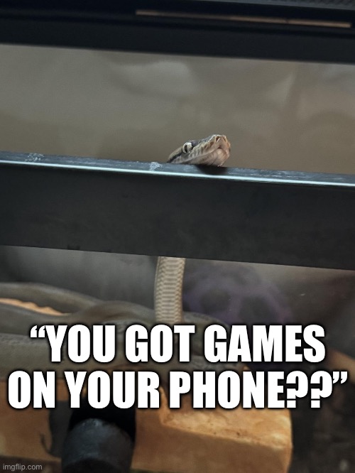 “YOU GOT GAMES ON YOUR PHONE??” | made w/ Imgflip meme maker