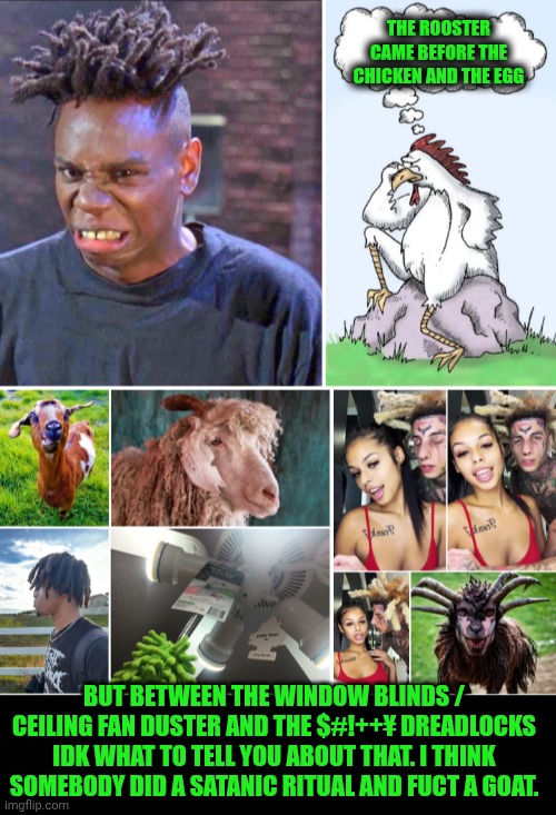 Funny | THE ROOSTER CAME BEFORE THE CHICKEN AND THE EGG; BUT BETWEEN THE WINDOW BLINDS / CEILING FAN DUSTER AND THE $#!++¥ DREADLOCKS IDK WHAT TO TELL YOU ABOUT THAT. I THINK SOMEBODY DID A SATANIC RITUAL AND FUCT A GOAT. | image tagged in funny,goat,hair,chicken,egg,shitty | made w/ Imgflip meme maker
