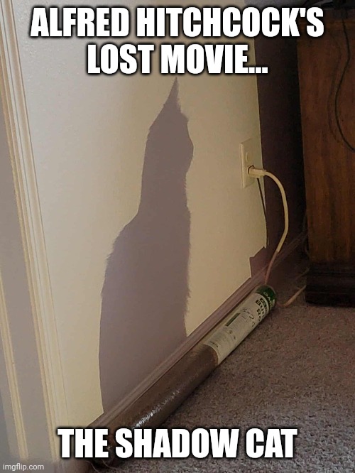 Just discovered!!! | ALFRED HITCHCOCK'S LOST MOVIE... THE SHADOW CAT | image tagged in scary movie | made w/ Imgflip meme maker