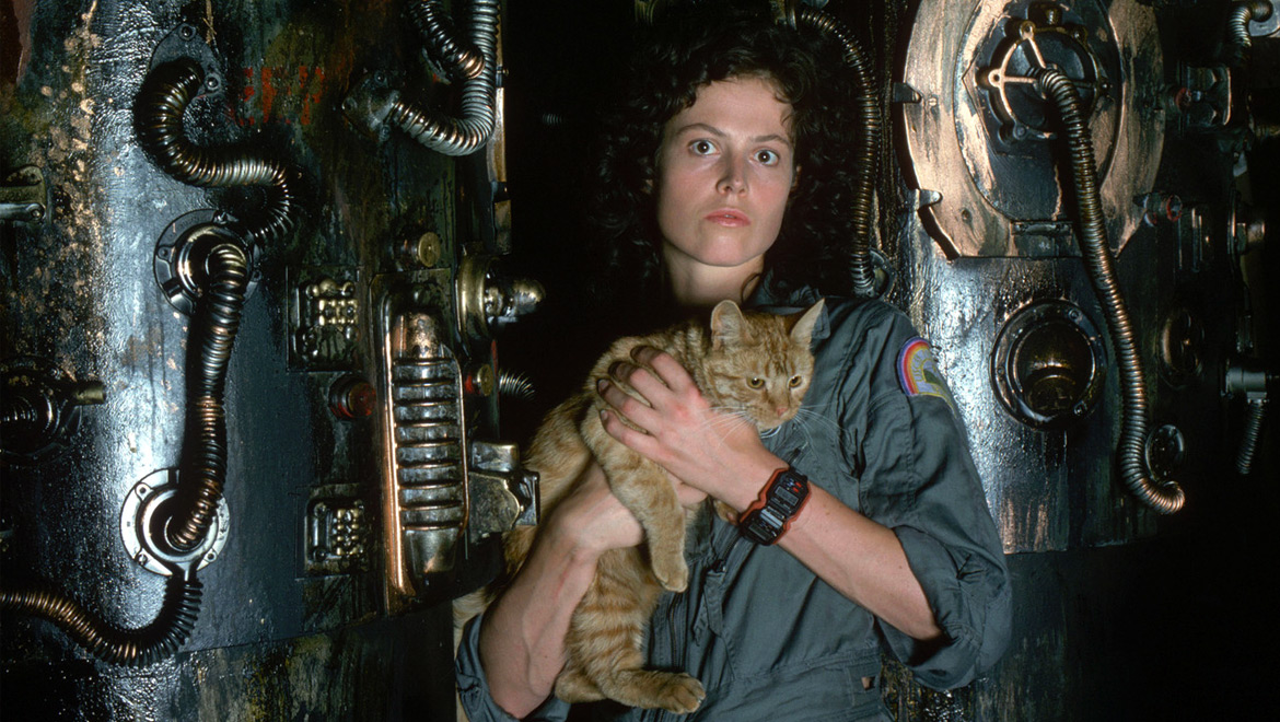 Aliens Ripley Jonesy The Cat Blank Meme Template