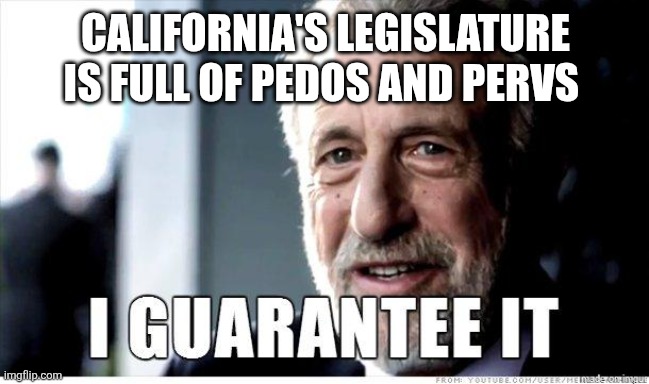 George Zimmer | CALIFORNIA'S LEGISLATURE IS FULL OF PEDOS AND PERVS | image tagged in george zimmer | made w/ Imgflip meme maker