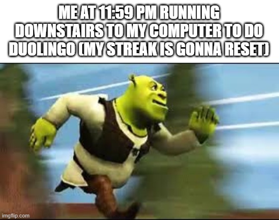 we've all done this at least once | ME AT 11:59 PM RUNNING DOWNSTAIRS TO MY COMPUTER TO DO DUOLINGO (MY STREAK IS GONNA RESET) | image tagged in shrek running,midnight,computer,duolingo | made w/ Imgflip meme maker