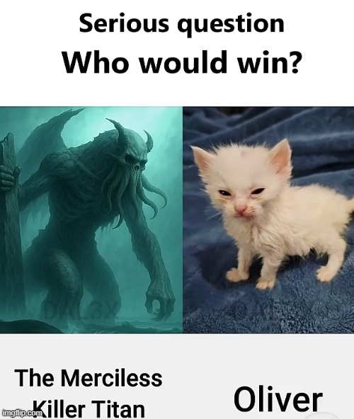 image tagged in funny memes,idk | made w/ Imgflip meme maker