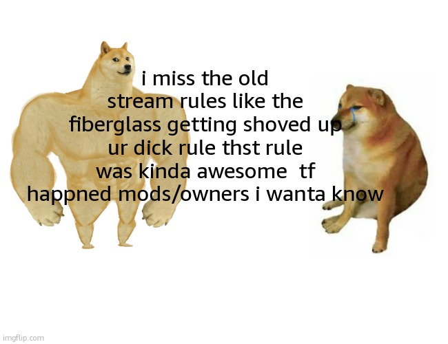 and the cartoony ahh swearing one was funny | i miss the old stream rules like the fiberglass getting shoved up ur dick rule thst rule was kinda awesome  tf happned mods/owners i wanta know | image tagged in memes,buff doge vs cheems | made w/ Imgflip meme maker