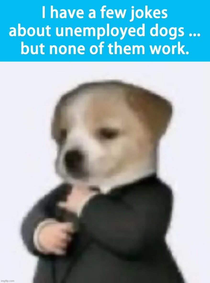 image tagged in dog in suit | made w/ Imgflip meme maker