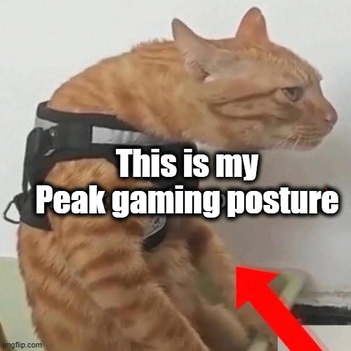 This is my
Peak gaming posture | image tagged in gaming | made w/ Imgflip meme maker