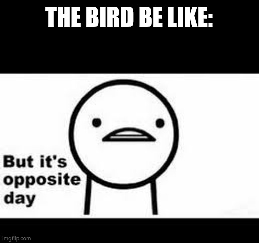 but it's opposite day | THE BIRD BE LIKE: | image tagged in but it's opposite day | made w/ Imgflip meme maker