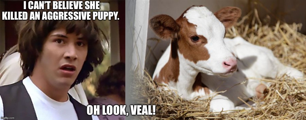 I CAN’T BELIEVE SHE KILLED AN AGGRESSIVE PUPPY. OH LOOK, VEAL! | image tagged in i can't believe it,veal | made w/ Imgflip meme maker