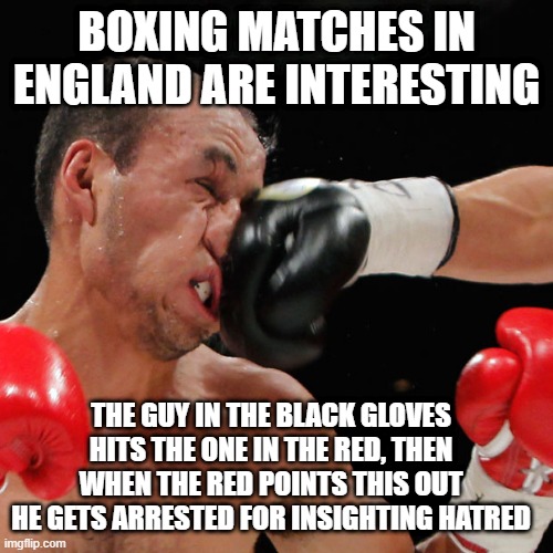 40 spectators were later arrested for the crime of having eyes | BOXING MATCHES IN ENGLAND ARE INTERESTING; THE GUY IN THE BLACK GLOVES HITS THE ONE IN THE RED, THEN WHEN THE RED POINTS THIS OUT HE GETS ARRESTED FOR INSIGHTING HATRED | image tagged in boxer getting punched in the face | made w/ Imgflip meme maker