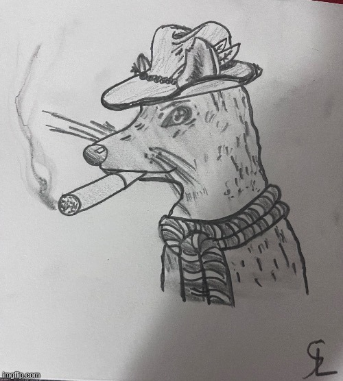 I cant fucking sleep | image tagged in cool ass rat smoking a fat one credits to -sl-artistic | made w/ Imgflip meme maker