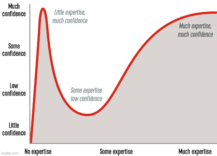 Dunning-Kruger Effect | image tagged in dunning-kruger effect | made w/ Imgflip meme maker