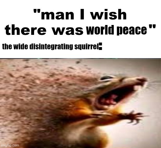 squir | world peace; the wide disintegrating squirrel | made w/ Imgflip meme maker