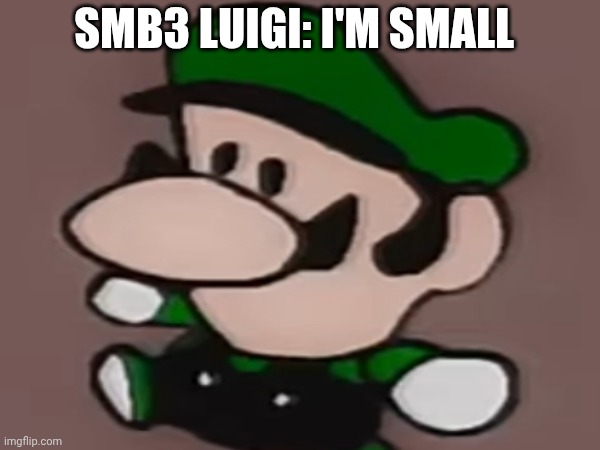 Small Luigi | SMB3 LUIGI: I'M SMALL | image tagged in luigi | made w/ Imgflip meme maker
