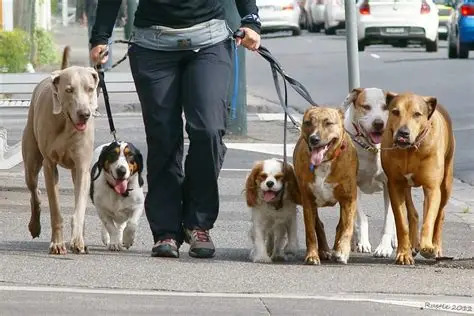 walking dog Blank Meme Template
