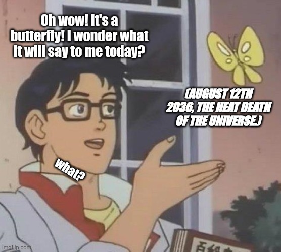 "AUGUST 12 2036, THE HEAT DEATH OF THE UNIVERSE" ahh butterfly. | Oh wow! It's a butterfly! I wonder what it will say to me today? (AUGUST 12TH 2036, THE HEAT DEATH OF THE UNIVERSE.); what? | image tagged in memes,is this a pigeon,what | made w/ Imgflip meme maker