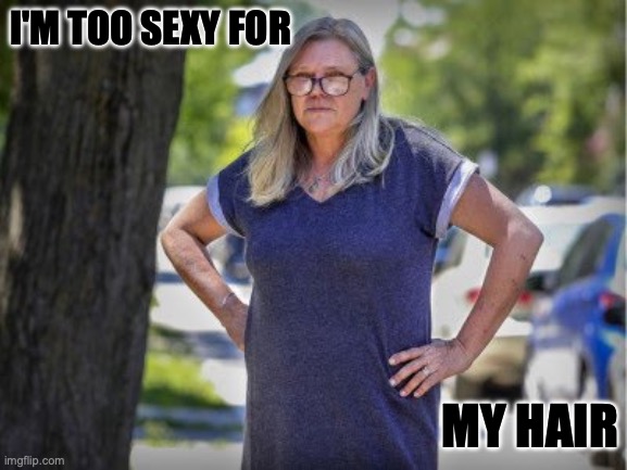 cat walk Karen | I'M TOO SEXY FOR; MY HAIR | image tagged in extreme karen | made w/ Imgflip meme maker