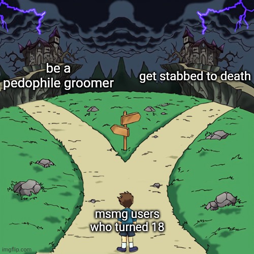 Two paths | be a pedophile groomer; get stabbed to death; msmg users who turned 18 | image tagged in two paths | made w/ Imgflip meme maker